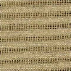 Palatine Crypton Upholstery Fabric